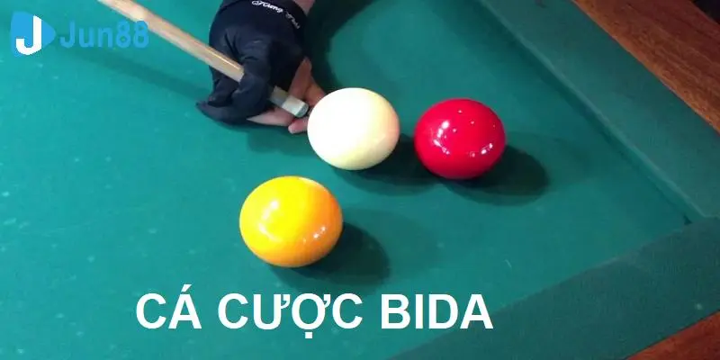 cá cược bida