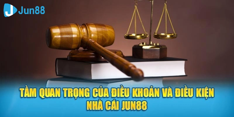 Điều khoản và điều kiện đóng một vai trò cực kỳ quan trọng